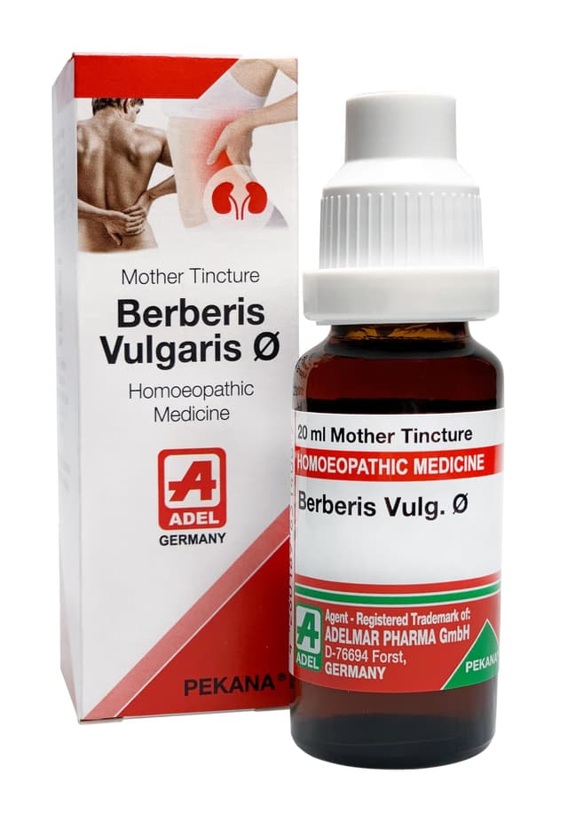 SBL TOPI BERBERIS CREAM Standard